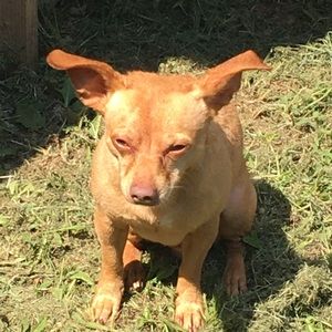 Meet your Posher, Fredy